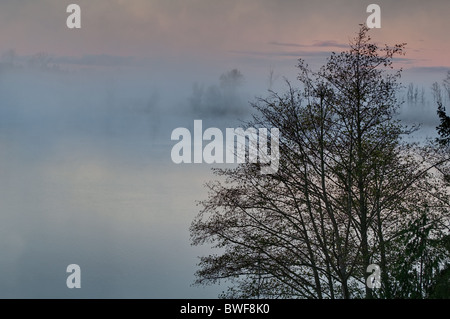Diese Natur Bild ist einem nebligen Morgen an einem See bei Sonnenaufgang mit den nebligen aufstehen aus dem Wasser. Bäume im Vordergrund Stockfoto