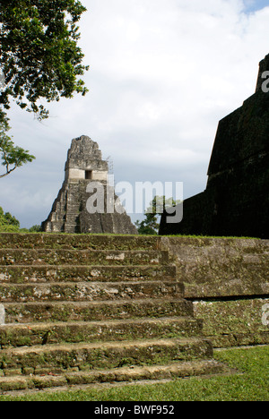 Tempel I oder Tempel der Großen Jaguar, Maya Ruinen von Tikal, El Peten, Guatemala. Tikal ist ein UNESCO-Weltkulturerbe. Stockfoto