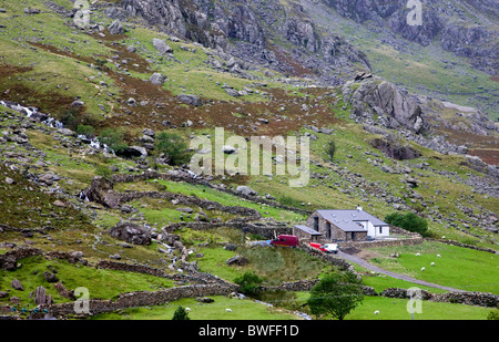 Gehöft am Berghang im Nordwesten Wales Stockfoto