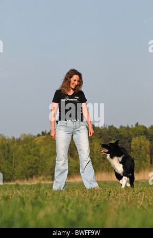 Border-Collie zeigt Hund Tanz Stockfoto