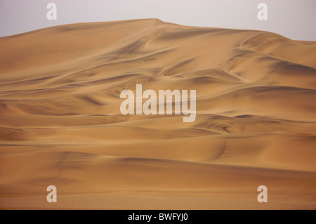 Wind formt die Muster von riesigen Dünen der Namib Wüste, Swakopmund Bereich, Namibia Stockfoto