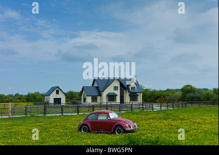 VW Käfer Auto für Verkauf außerhalb irischen Heimat in der Nähe von Taghmon, Südirland Stockfoto