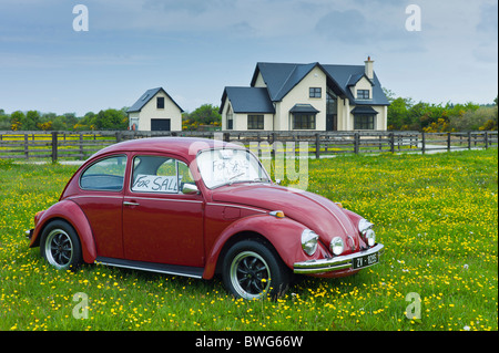 VW Käfer Auto für Verkauf außerhalb irischen Heimat in der Nähe von Taghmon, Südirland Stockfoto