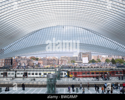 Bahnhofshalle, Gare de Liège-Guillemins, Architekt Santiago Calatrava, Lüttich, Belgien, Europa Stockfoto