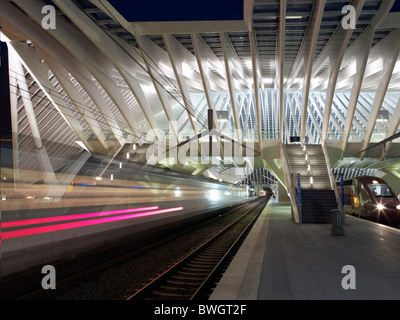 Bahnhofshalle, Gare de Liège-Guillemins, Architekt Santiago Calatrava, Lüttich, Belgien, Europa Stockfoto