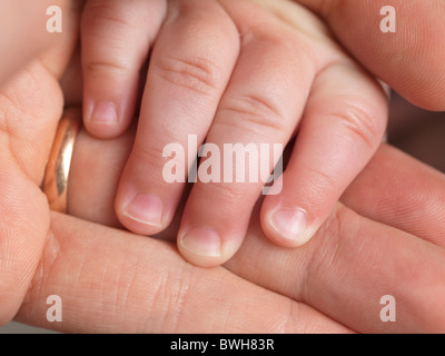 Nahaufnahme eines sechs Monate alten Babys Hand in Hand seines Vaters Stockfoto
