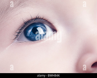 Lizenz erhältlich unter MaximImages.com - Nahaufnahme eines blauen Auges eines sechs Monate alten Jungen. Stockfoto