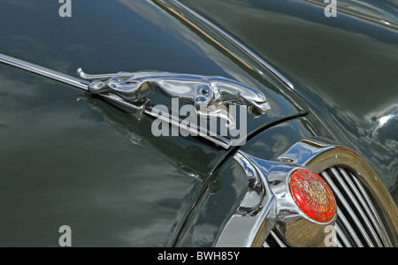 Emblem auf einem 1967 Jaguar S Type Auto Stockfoto