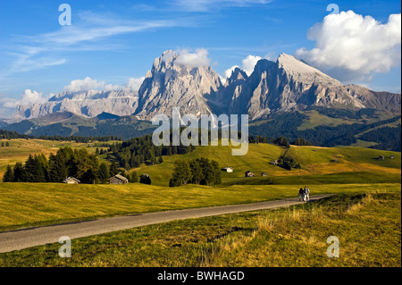 Blick über die Seiser Alm Alm Langkofel und Sassopiatto bergwärts in den Rücken der Sella-Gruppe Stockfoto