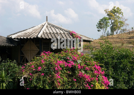 Schöne Blumen wachsen vor einem Haus in der Nähe von ländlichen Pai, Nord-Thailand. Stockfoto