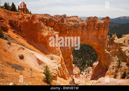 Natural Bridge, natürlichen Steinbogen, Bryce-Canyon-Nationalpark, Utah, USA Stockfoto