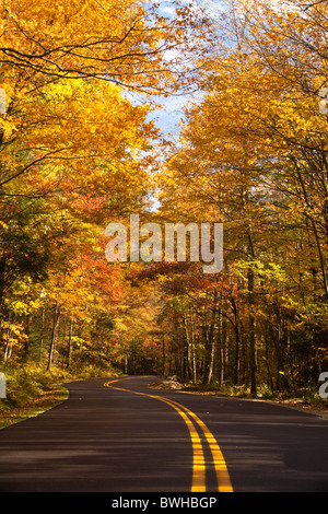 Herbst in der Great Smokey Mountain National Park entlang der Roaring Fork Motor Trail Stockfoto