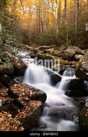 Stromschnellen am Wegesrand Roaring Fork Motor im Herbst Stockfoto