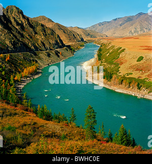 Katun-Fluss. Farben des Herbstes. Das Altai-Gebirge, Sibirien, Russland Stockfoto