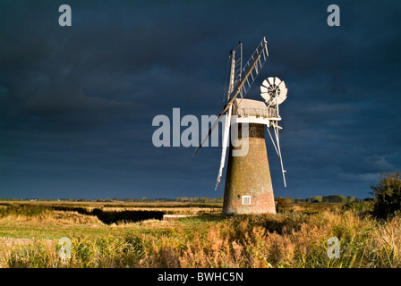 Eine Windmühle in den Norfolk Broads genommen eine Morgendämmerung Stockfoto