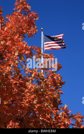 Sterne und Streifen die Flagge mit Herbstlaub im Vordergrund, in Concord, Massachusetts, USA gesehen Stockfoto