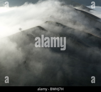 Ein einsamer Baum zeichnet sich in der Cloud auf dem großen Grat in der Peak District National Park, England Stockfoto