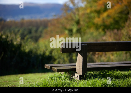 leere Parkbank mit Blick auf Herbst drehen woodland Stockfoto