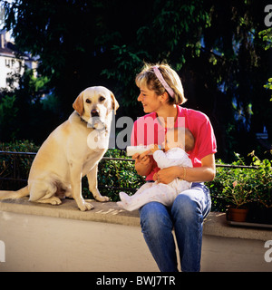 HERR JUNGE MUTTER MIT DER FLASCHE FÜTTERN IHR BABY UND LABRADOR GOLDEN RETRIEVER HUND Stockfoto