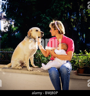 HERR JUNGE MUTTER MIT DER FLASCHE FÜTTERN IHR BABY UND LABRADOR GOLDEN RETRIEVER HUND Stockfoto