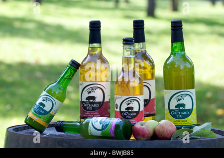 Flaschen "Obstgarten Schwein" Apfelwein und Apfelsaft Stockfoto