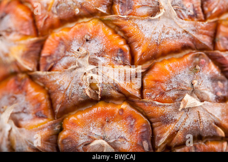 Nahaufnahme von frischer Ananas, Makro Stockfoto