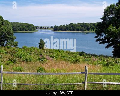 Nauset Marsh aus Salt Pond Visitor Center, Cape Cod National Seashore, Massachusetts Stockfoto