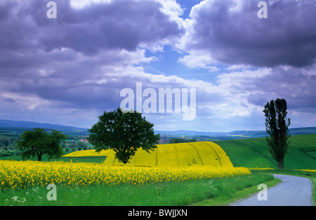 Europa, Deutschland, Niedersachsen, Landschaft in der Nähe von Rhüden, Harz Stockfoto