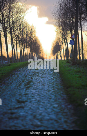 Stock Foto von Landstraße in Doel, Belgien Stockfoto