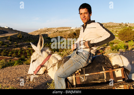 Ein palästinensischer Schäfer auf einem Esel kommen zurück von der Alm. Stockfoto