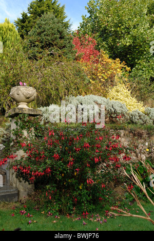 Devon Terrassengarten mit Sträuchern und Pflanzen in Herbstfarben Stockfoto