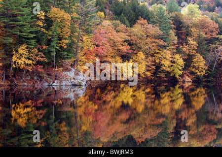 Ludlow Indian Summer Vermont USA United States America USA Nordamerika Landschaft Landschaft Stockfoto