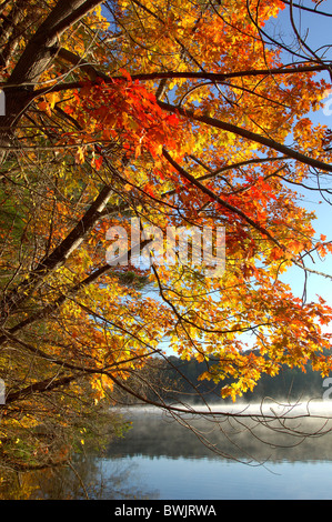 Ludlow Indian Summer Vermont USA United States America USA Nordamerika Landschaft Landschaft Stockfoto
