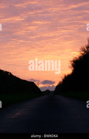 Pink sunset looking down countryside road Stockfoto