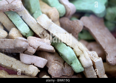 Hund behandelt Stockfoto