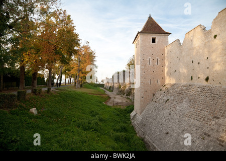 Der alten Stadtmauer von der französischen mittelalterlichen Stadt Provins, Seine et Marne, Frankreich Stockfoto