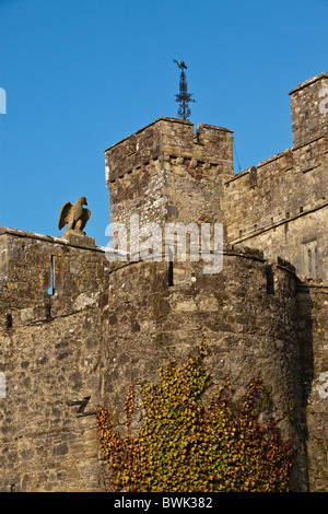 Cahir Castle. Irland. Stockfoto