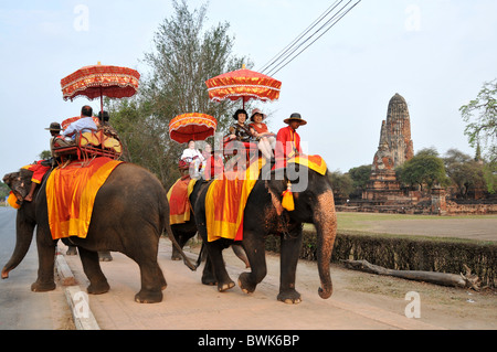 Elefanten mit Touristen am Wat Phra Ram in den alten Kingdomtown Ayutthaya, Thailand, Asien Stockfoto