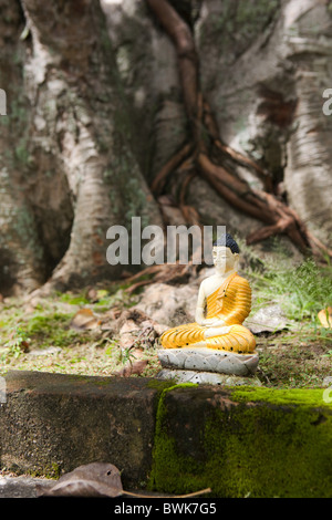 Kleine Buddha-Statue als Opfergabe an die Seema Malaka Tempel auf Beira Lake, Colombo, Sri Lanka, Asien Stockfoto