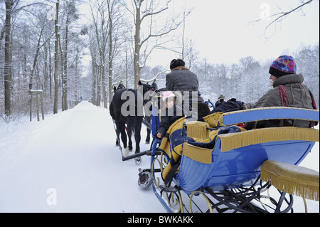 Menschen in Pferd gezogenen Schlitten im Schnee bedeckt Wald, Sachsen, Deutschland, Europa Stockfoto