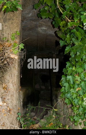 Etruskische Grab, etruskischen Nekropole von San Potente, Tuscania, Provinz Viterbo, Latium, Italien Stockfoto