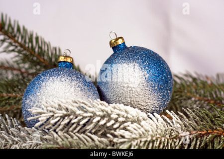 Blaue Weihnachtsdekoration, Weihnachtskugeln auf Fichte Zweig Stockfoto