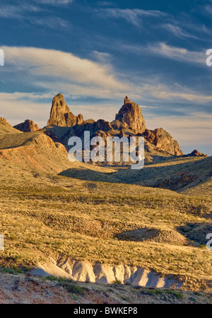 Mule Ohren spitzen bei Sonnenuntergang, Chihuahua-Wüste in Big Bend Nationalpark, Texas, USA Stockfoto