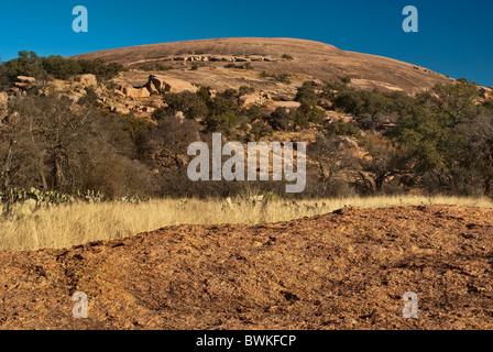 Main Dome an Enchanted Rock State Natural Area, im Hügelland in der Nähe von Fredericksburg, Texas, USA Stockfoto