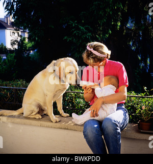 HERR JUNGE MUTTER MIT DER FLASCHE FÜTTERN IHR BABY UND LABRADOR GOLDEN RETRIEVER HUND Stockfoto