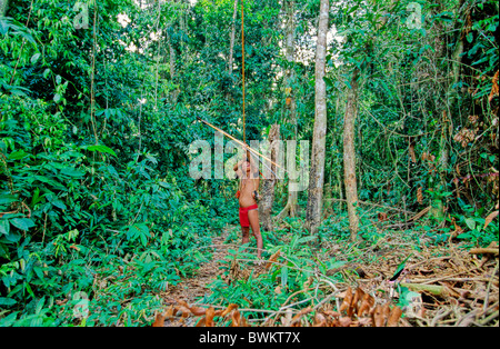 Venezuela Südamerika Yanomami Ironavi Stamm Indios Jäger Bogen Pfeil Männer Mann Bogenschützen Bogenschütze Jagd Hun Stockfoto