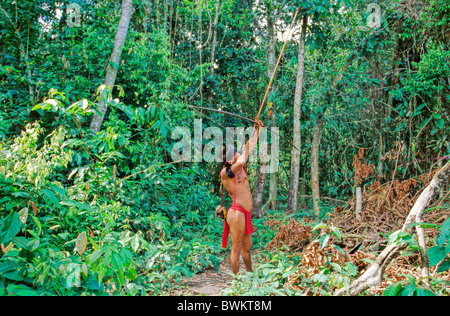 Venezuela Südamerika Yanomami Ironavi Stamm Indios Jäger Bogen Pfeil Männer Mann Bogenschützen Bogenschütze Jagd Hun Stockfoto