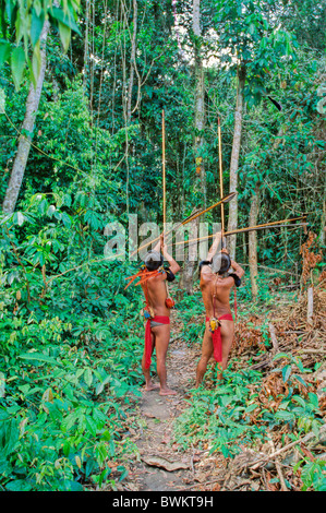 Venezuela Südamerika Yanomami Ironavi Stamm Indios Jäger Bogen Pfeil Männer Mann Bogenschützen Bogenschütze Jagd Hun Stockfoto