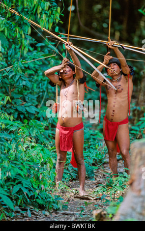 Venezuela Südamerika Yanomami Ironavi Stamm Indios Jäger Bogen Pfeil Männer Mann Bogenschützen Bogenschütze Jagd Hun Stockfoto