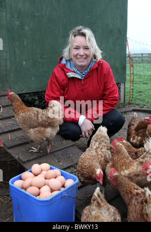 Bio-Landwirt Jenny Young mit Hühnern und Eiern neue gelegt, Castlefarm Shop, Co. Kildare Stockfoto